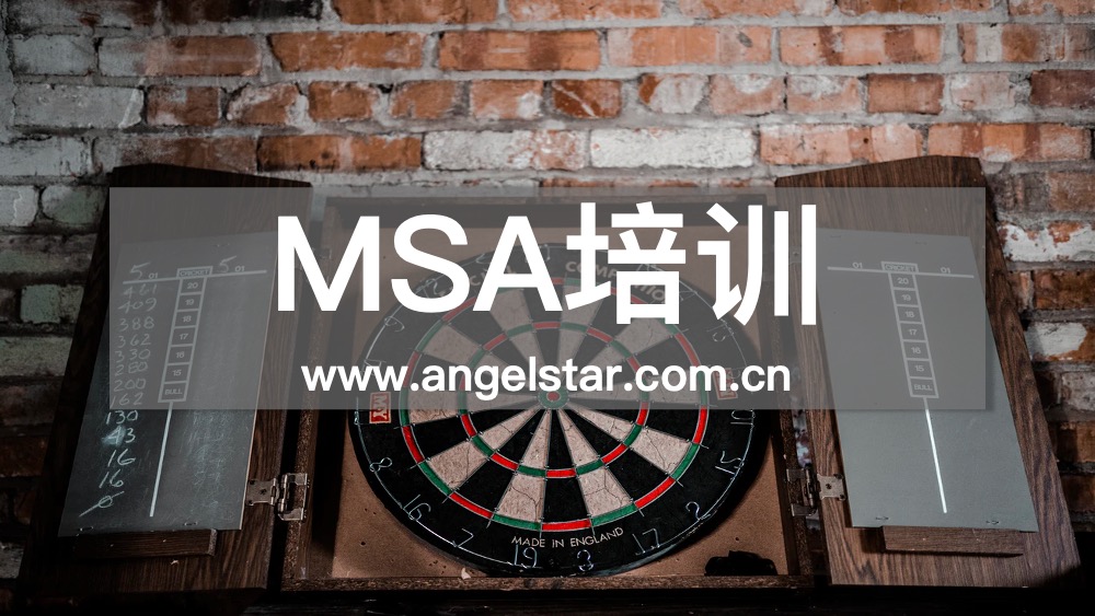 MSA培训