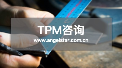 TPM咨询公司