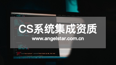 CS咨询公司