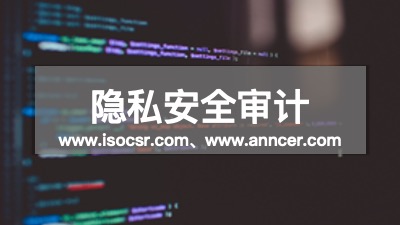 隐私安全审计公司