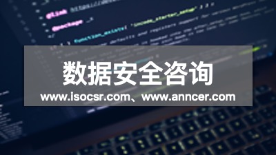 数据安全咨询公司