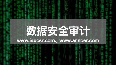 数据安全审计咨询公司